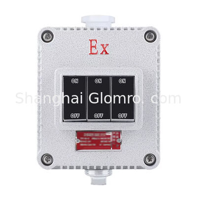 Increased Safety Type Explosion-proof Wall Switch Double Gang IP65 Rated