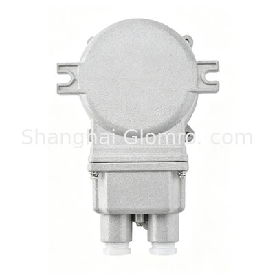 Dual Rated Ex Iic & Iiic 32A Explosion Proof Transfer Switch IP66 Splash Proof Controller for Gas & Dust Hazardous Zones
