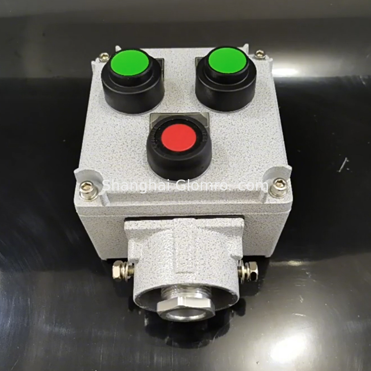 IIC Aluminium Alloy Industrial Control Box IP65 Explosion-proof Control Buttons Anti-corrosion Explosion-Proof Operation Panel  