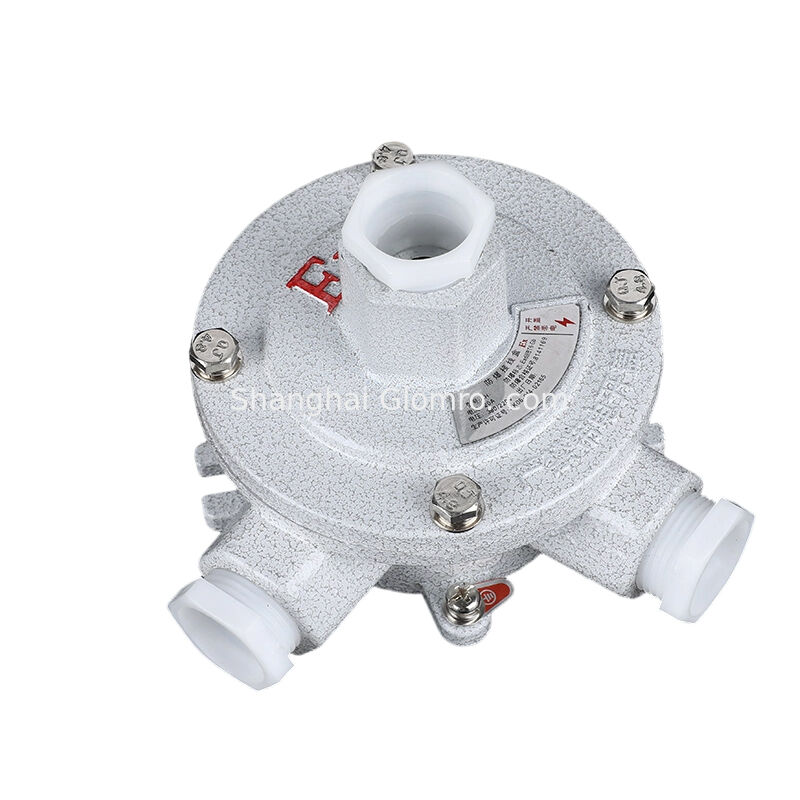 ATEX IP65 G1/2 G3/4 G1 Cable Waterproof Aluminum Explosion-Proof Box IP65 Explosion-Proof Cable Junction Box