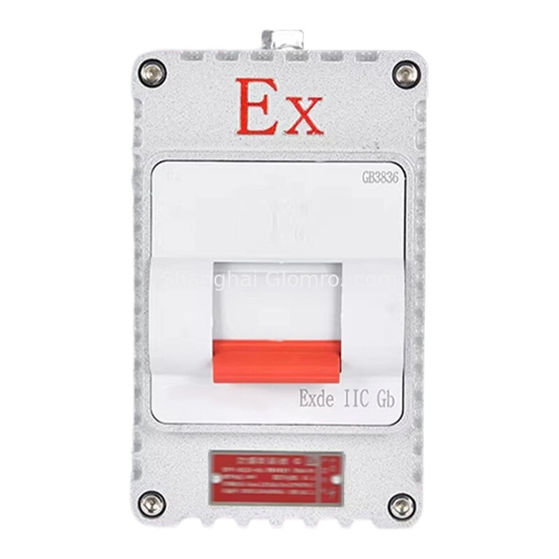 1 Circuit Explosion-proof Safety Circuit Breaker 220V/380V 10A/20A/32A/40A/63A Industrial Waterproof Breaker