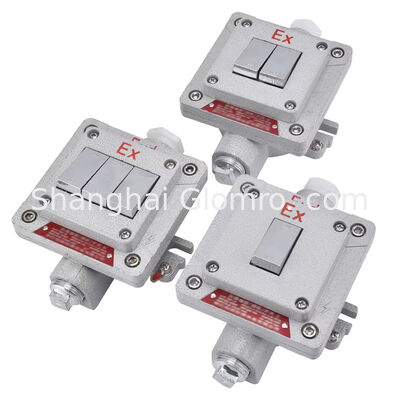 Vlamvast Type Explosiebestendige Wandschakelaar Oppervlak gemonteerd Explosiebestendige, stofbestendige en waterdichte