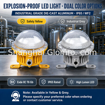 10W LED explosieveilige armatuur IP65 WF2 Industriële gevaarlijke zoneverlichting met lange levensduur voor raffinaderij