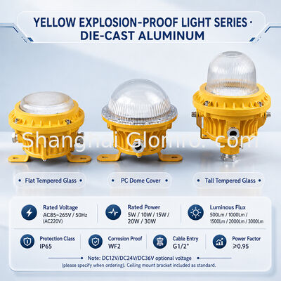 GLOMRO Heavy Duty Explosion Proof LED Area Light 30W SMD 3000Lm AC85V-265V voor petrochemische installaties