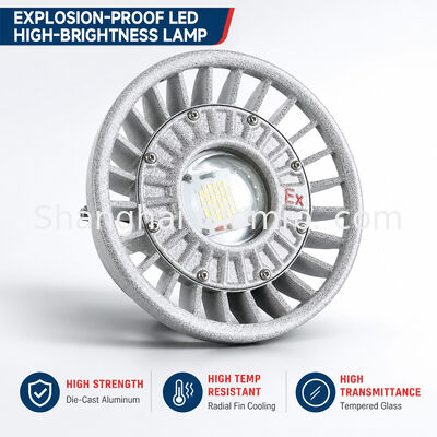 LED-explosiebestendige verlichting 20W/30W/40W/50W/60W/70W/80W/100W/120W IP66 Gevaarlijke locatieverlichting van gegoten aluminium