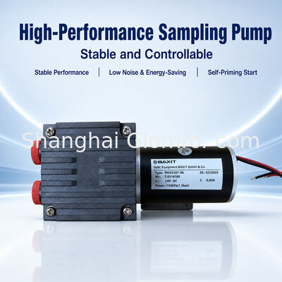 BAXIT PM33387-96 Diafragma-gasmonsteringspomp DC24V borstelloze vacuümpomp voor CEMS-rookgasanalyse